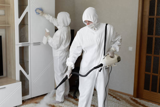 Best Black Mold Removal  in Georgetown, CO